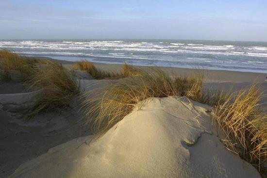 Cote Dune Le Crotoy Zewnętrze zdjęcie